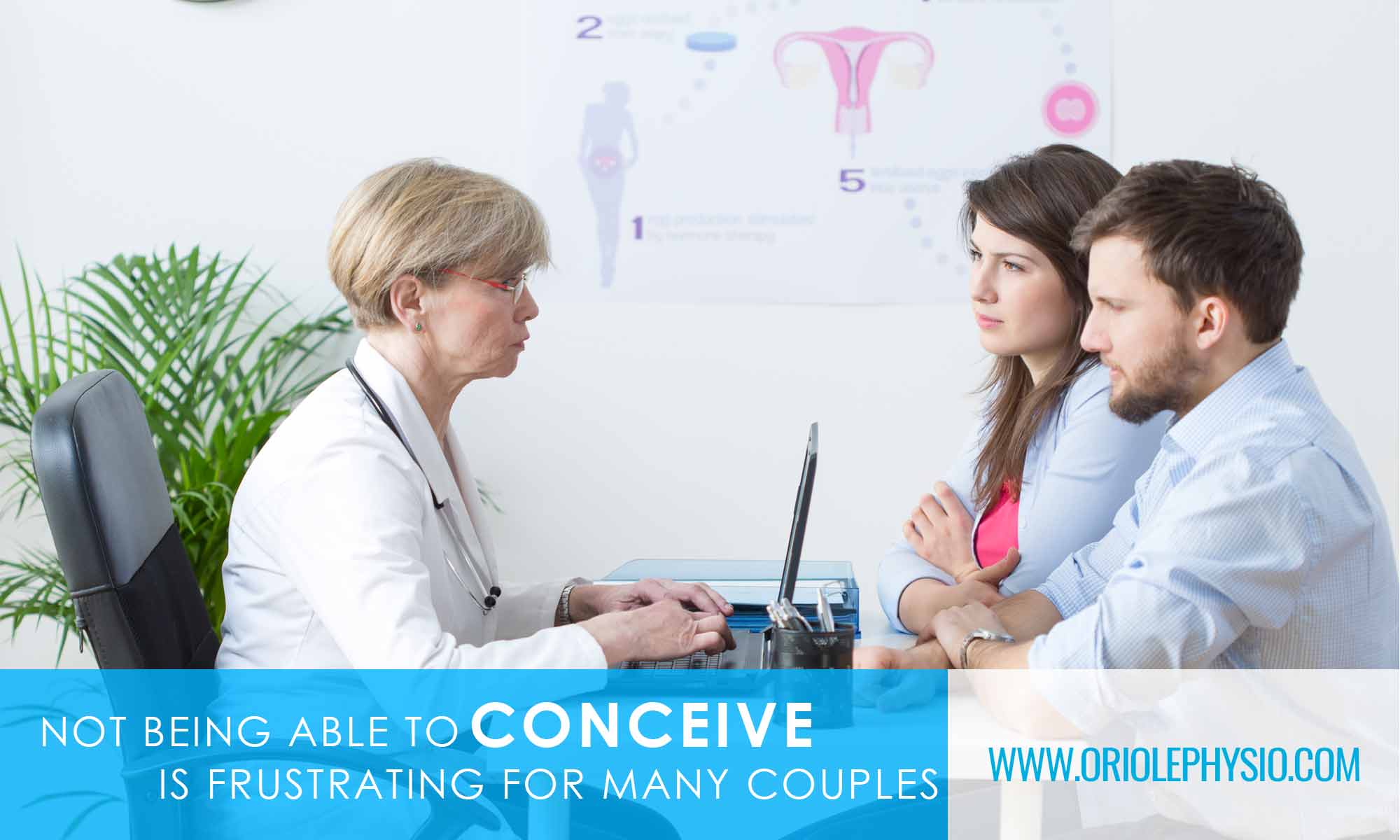 conceive