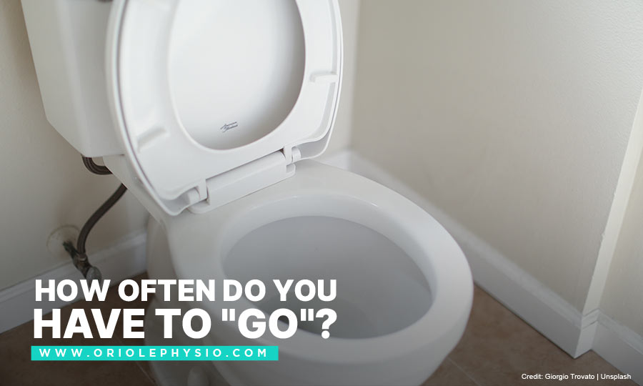 How often do you have to "go"?